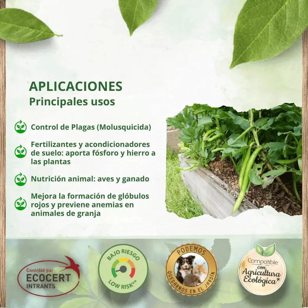Imagen del producto 3