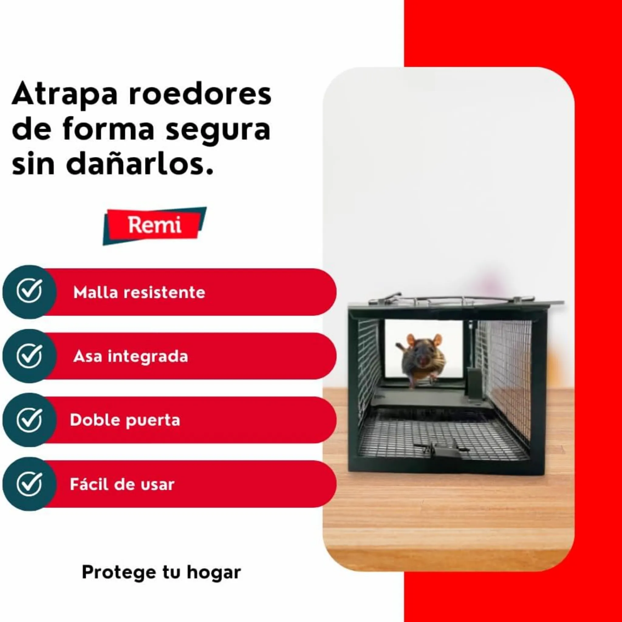 Imagen del producto 3