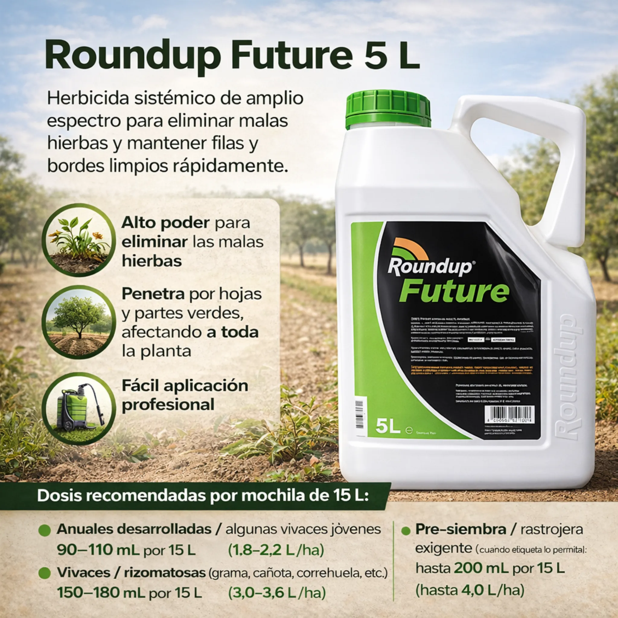 Imagen del producto 3
