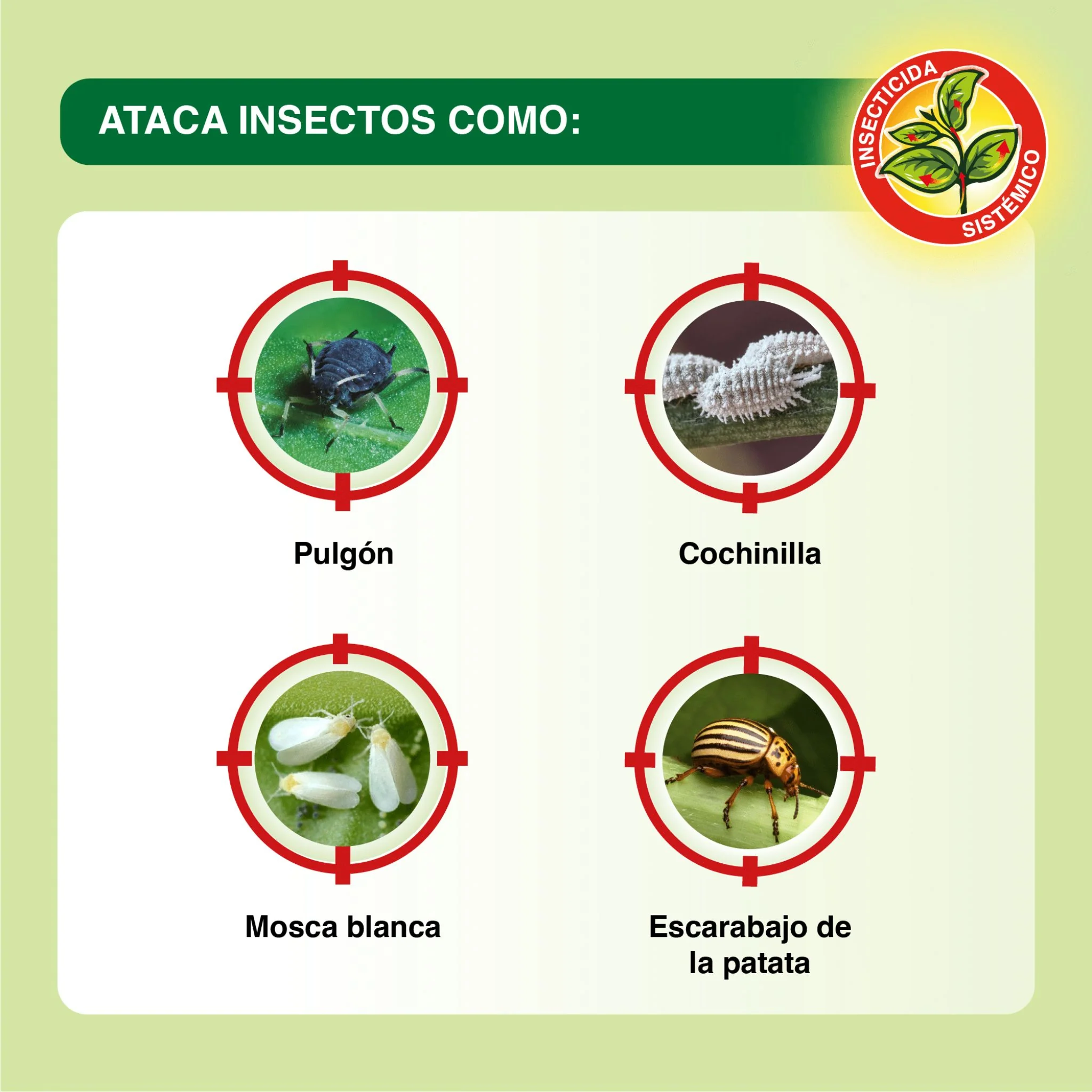 Imagen del producto 3