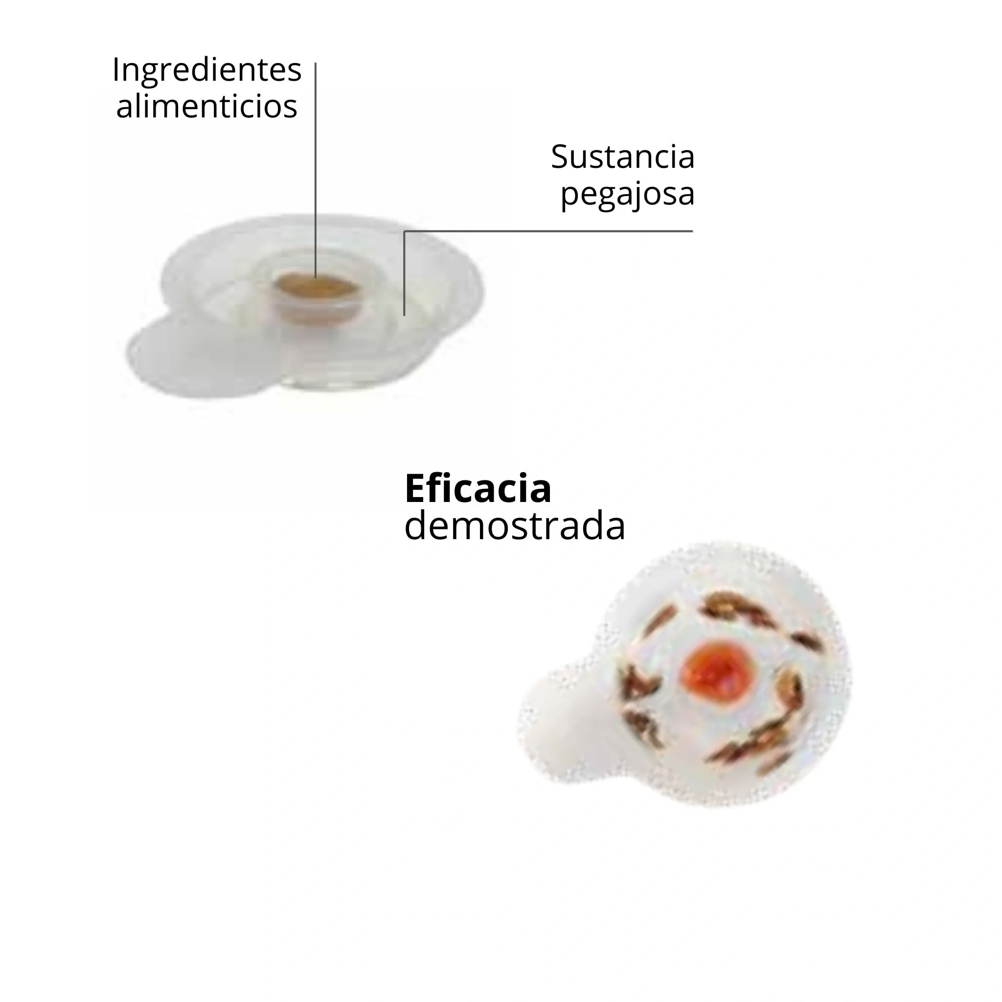 Imagen del producto 3